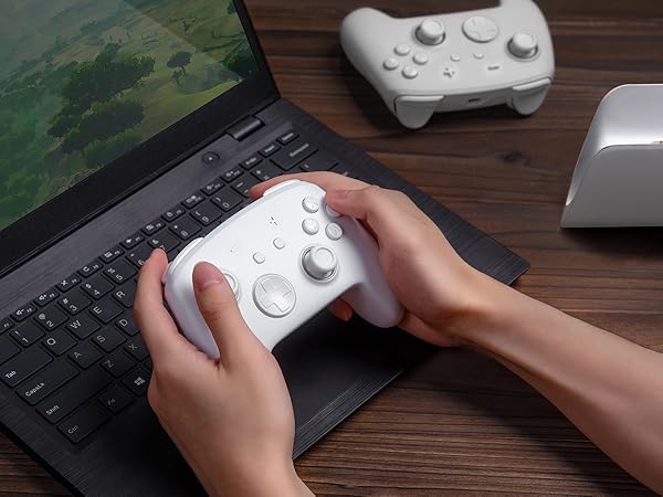 switch pro controller wireless
