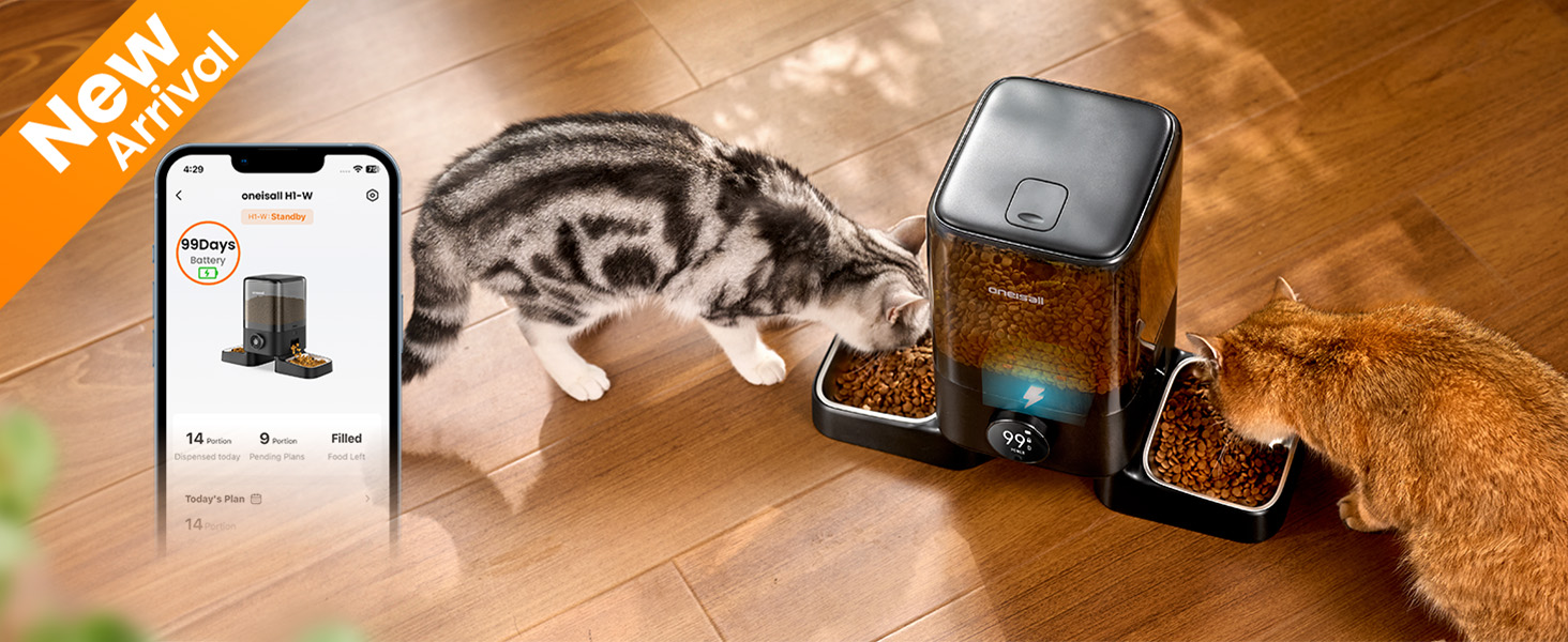 automatic cat feeder