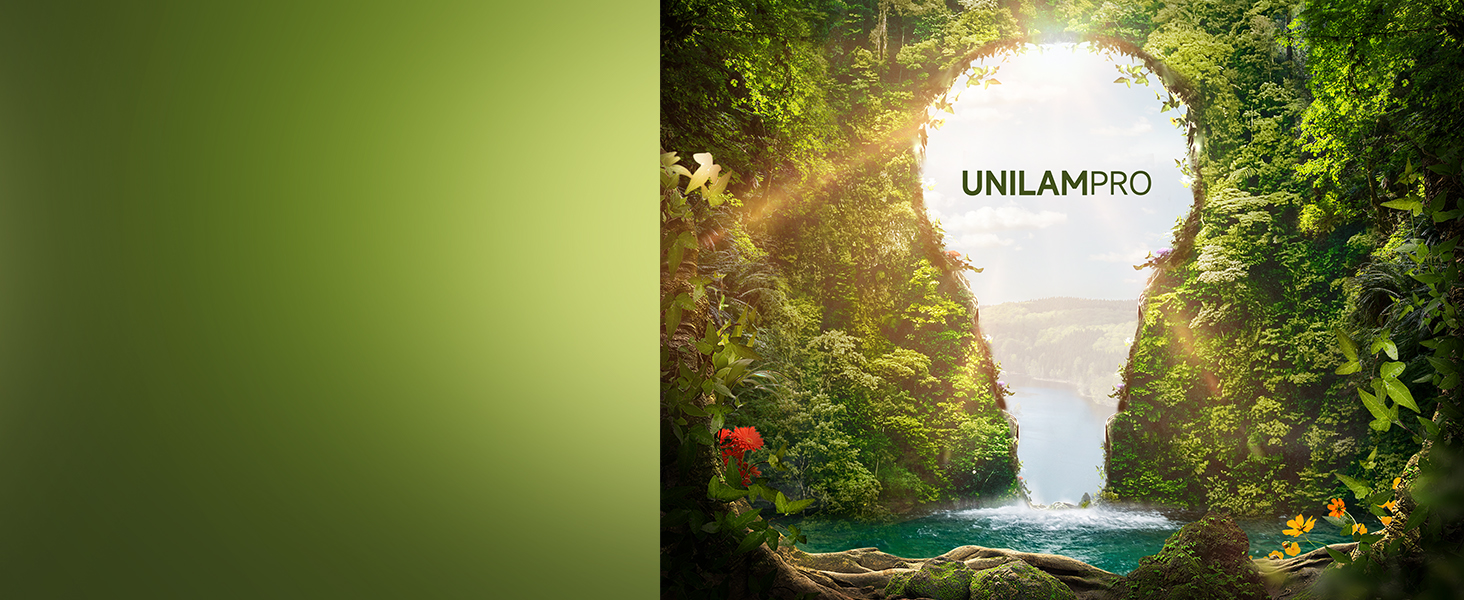 plant light bulb energy saving