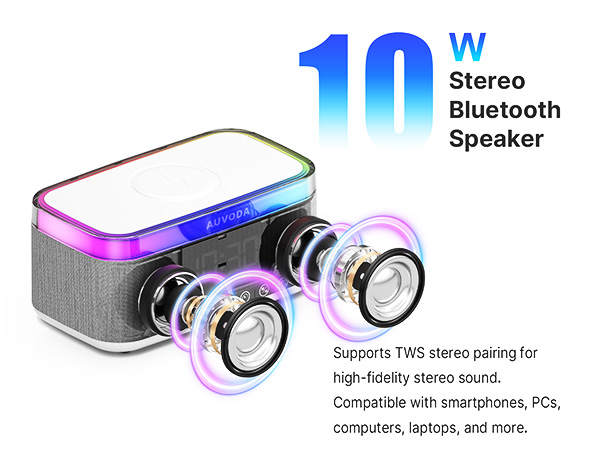 Portable Speaker