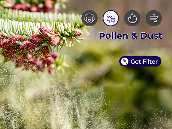 air purifiers for home