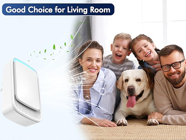 Good Choice for Living Room