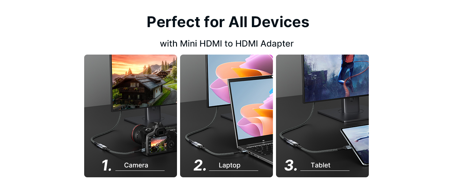 Mini HDMI to HDMI Adapter
