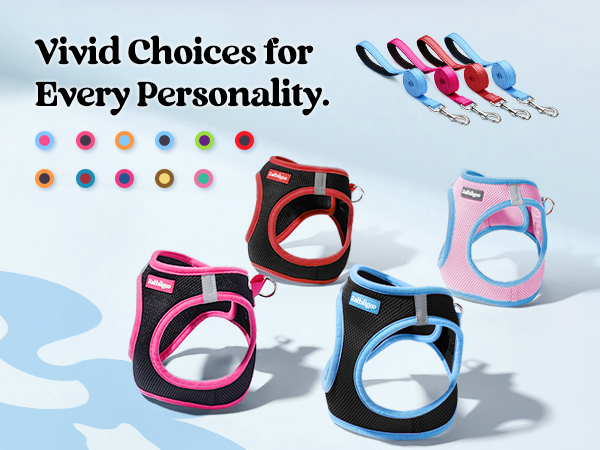 dog harness