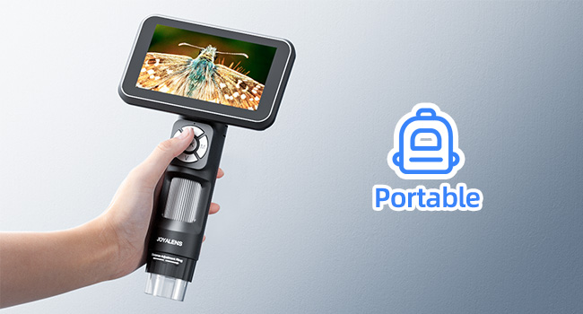 Portable