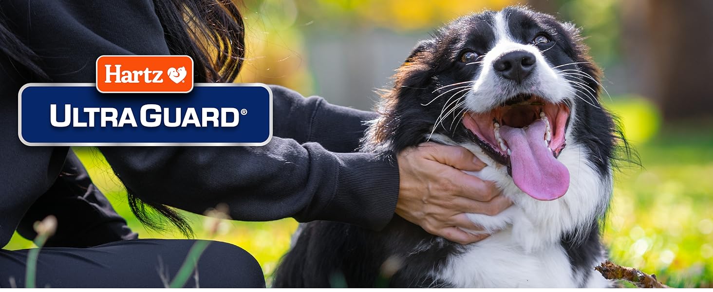 Hartz UltraGuard Dog Base Collars