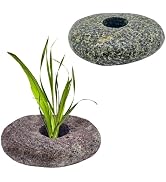 2PCS Natural River Stone Plant Weights for Aquarium,Pebble Aquatic Plants Fixed Ring for Aquatic ...