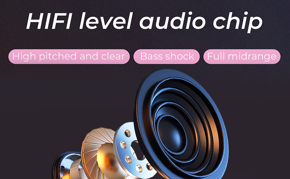 HIFI Level Audio Chip Smart Speaker