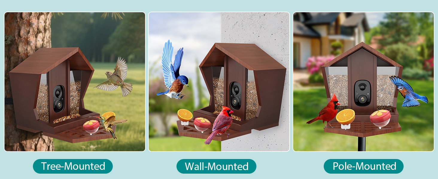 smart bird feeder with camera solar powered power wood wifi ai video live outdoor outside