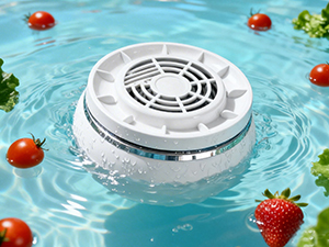 veggie cleaning machine