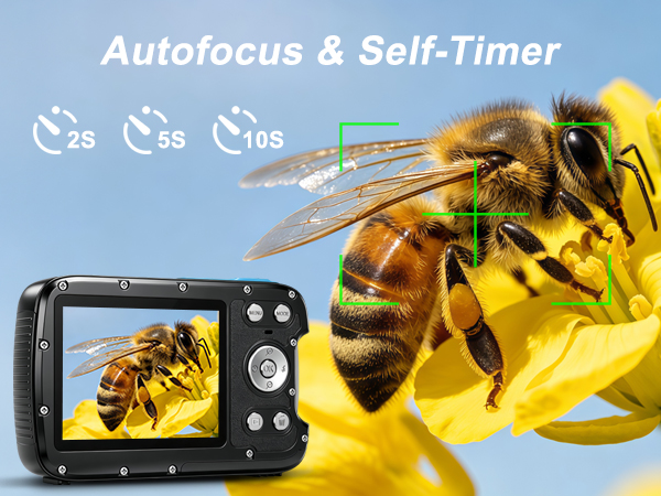 Autofocus Camera