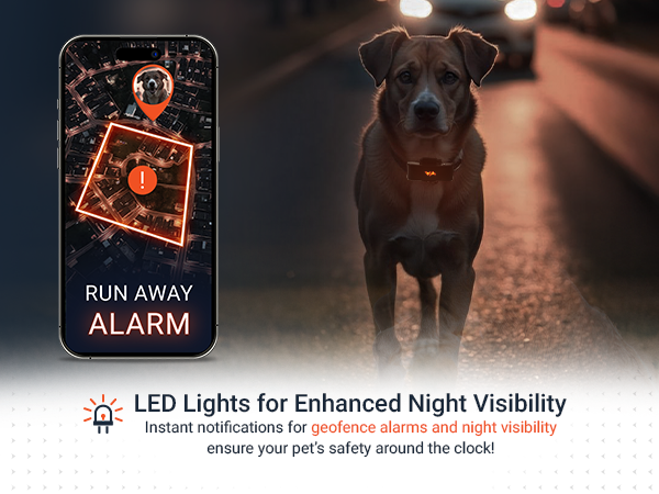 pet loaction tracker