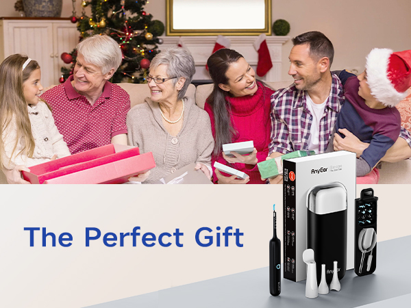 Ear Wax Removal Tool Camera