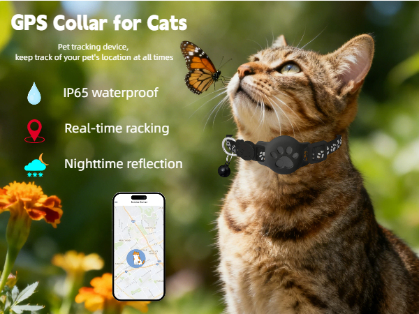 cat tracker collar