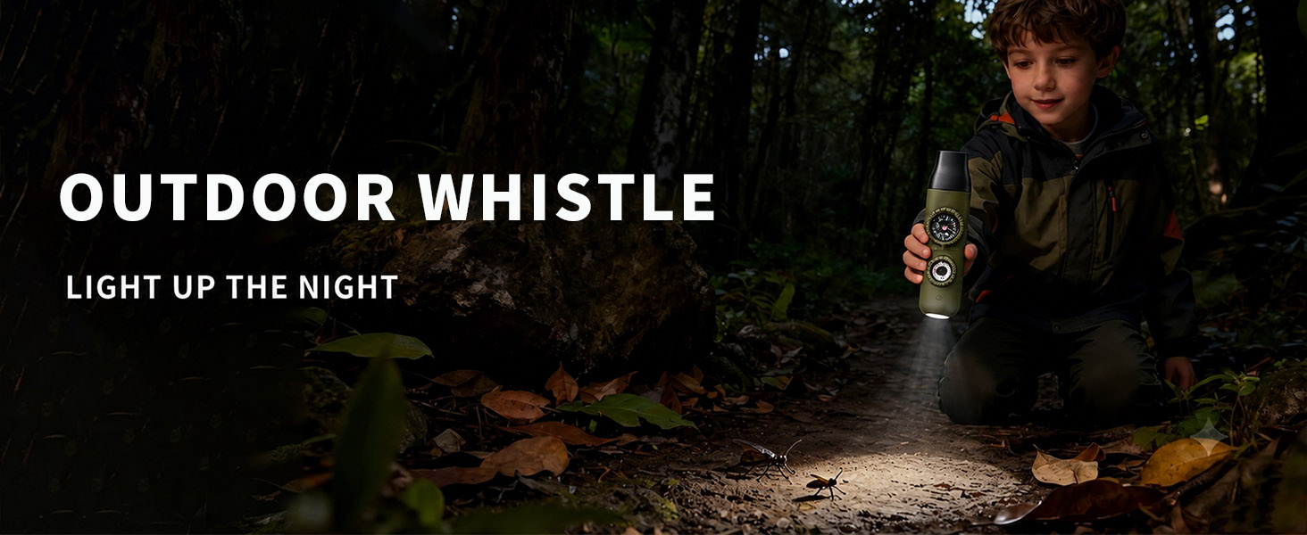 Whistle
