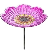 MUMTOP Glass Bird Baths for Outdoors, 12 Inch Bird Bath Bowl with Metal Stake Sunflower Bird Feed...