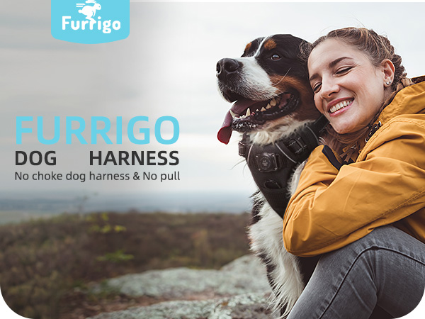 airtag dog harness integrated waterproof apple air tag holder dogs vest harnesses no-pull harness l