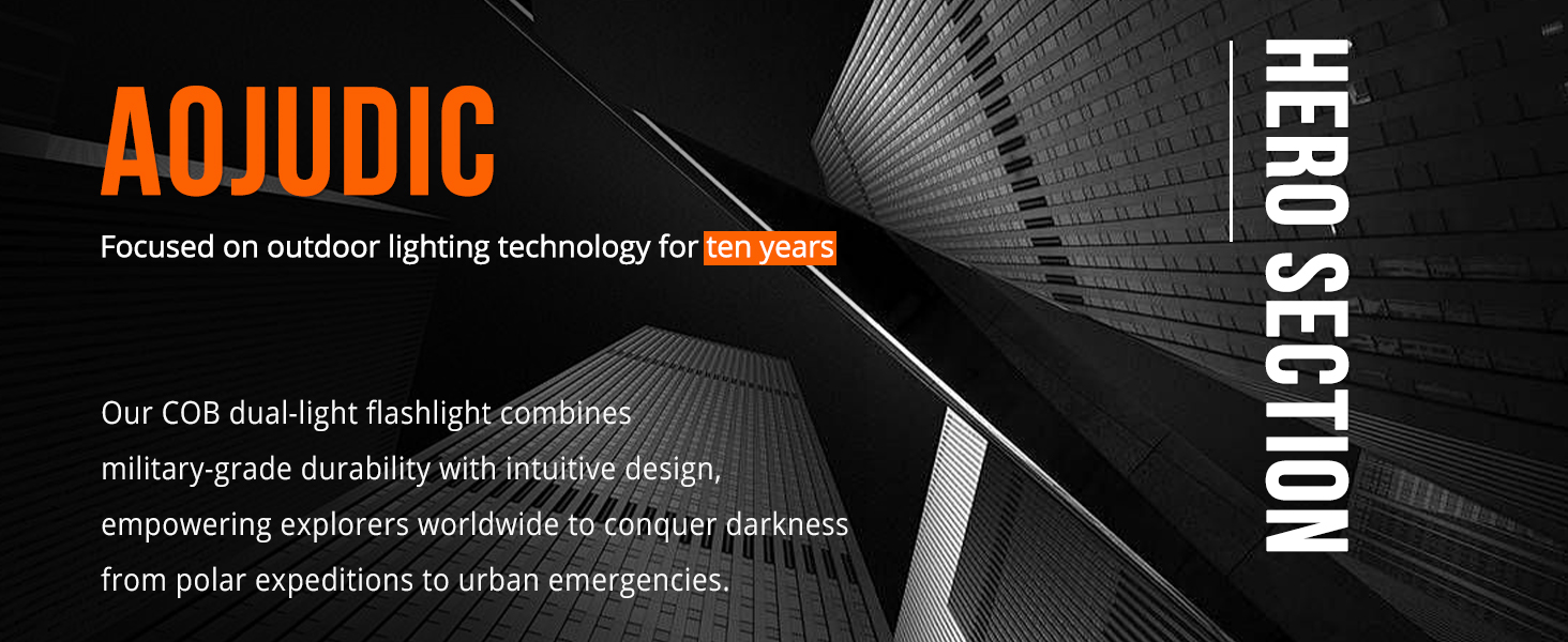 AOJUDIC Focused on outdoor lighting technology for ten years