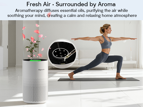hepa air purifiers for home