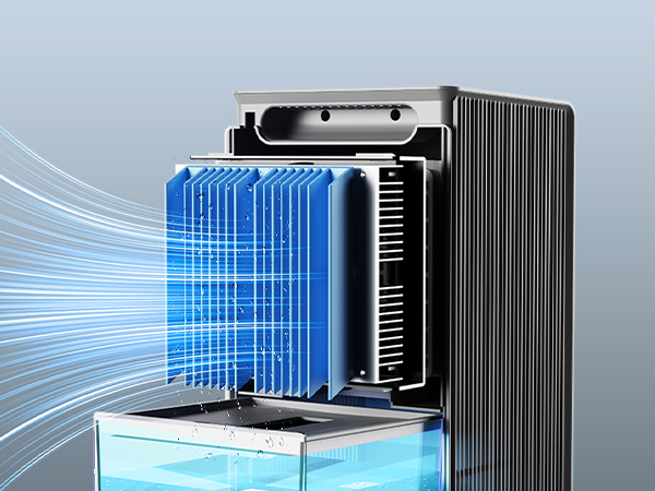 small dehumidifiers for basement