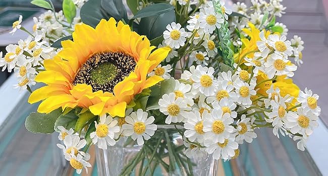 daisy