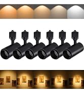 Ajbvp 5Color LED Track Lighting Heads 12W Dimmable,Zoomable Beam15°/24°/36°/45°/60°,2700K/3000K/3...