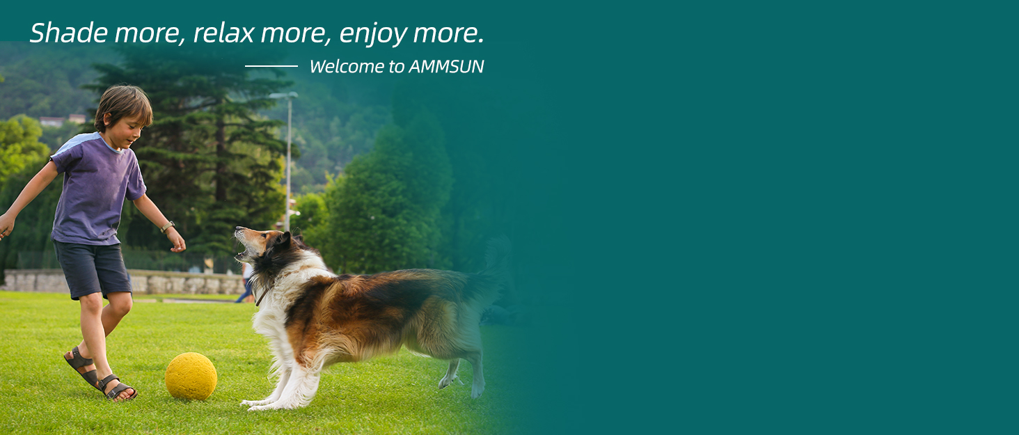 portable umbrella with stand