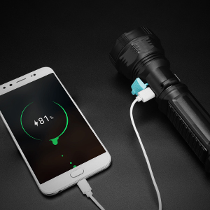 portable handheld flash light