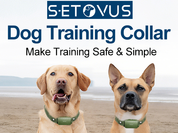 dog training collar