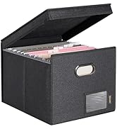 BALEINE File Organizer Box with Lid, Collapsible File Folder Organizer with Plastic Slide, Hangin...