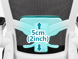 Dynamic Lumbar Support
