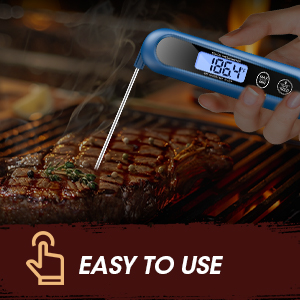 meat thermometer