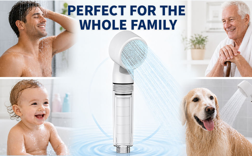 Shower Head with Handheld