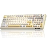 SOLAKAKA KI99 Pro 96% Wireless Mechanical Keyboard, RGB Gaming Keyboard, Hot-Swappable Pre-Lubed ...