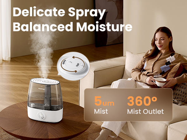 Large Humidifiers for Home
