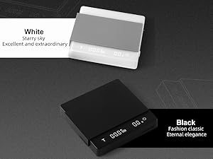 travel scale
