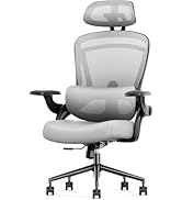 Sweetcrispy Ergonomic High Back Office Chair with 2D Headrest, Up&Down Lumbar Support, Swivel Com...