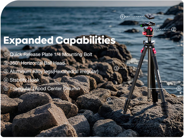 Quick Release Plate 1/4 Mounting Bolt. 360° Horizontal Ball Head. Aluminum Alloy legs.