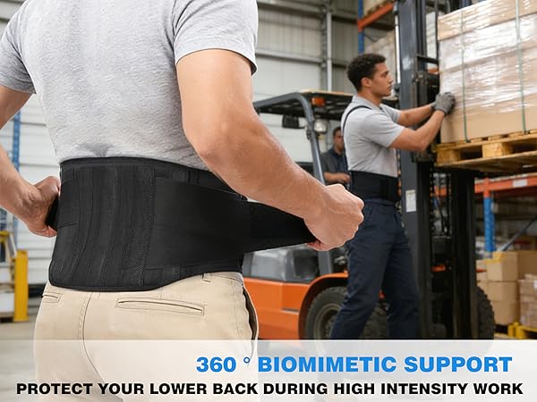 Lumbar Support