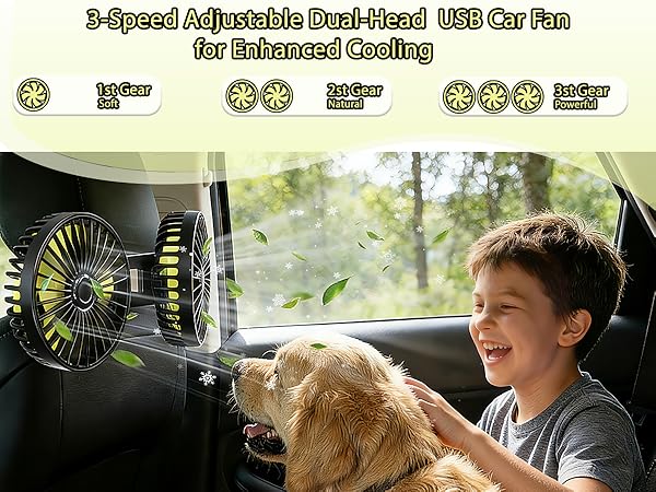 dual fan for car backseat