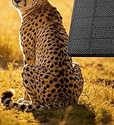 Solar Panel For Trail Camera