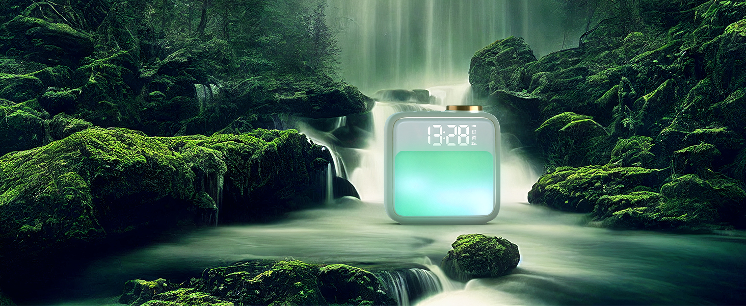 Forest Stream Simulation