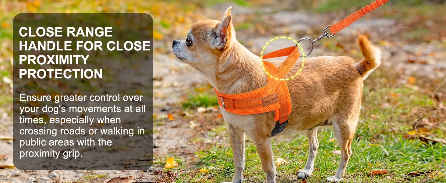 dog harness no pull