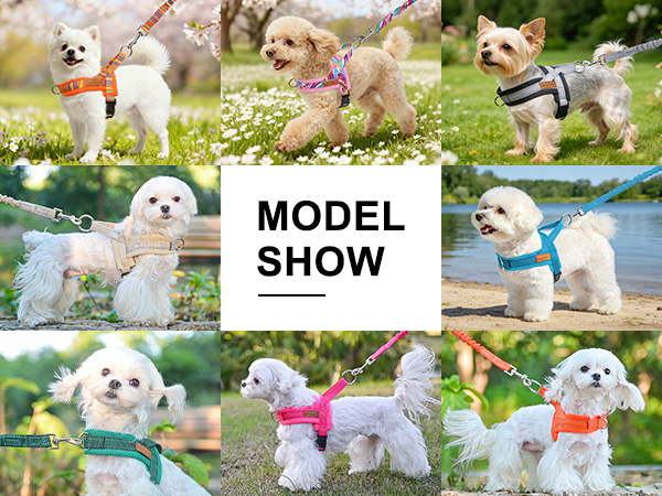 small dog harness