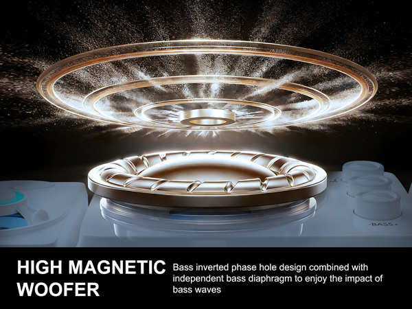 HIGH MAGNETIC WOOFER