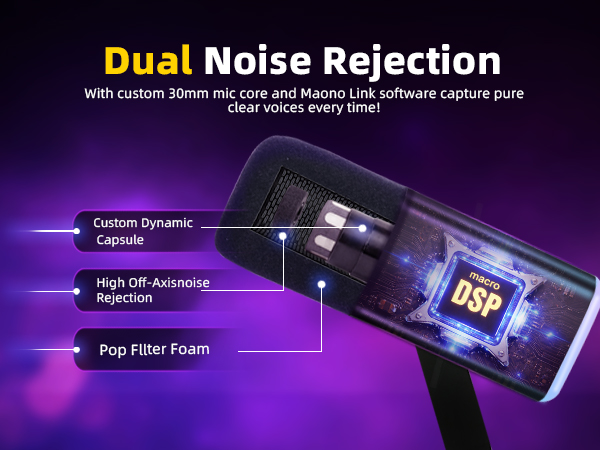 XLR/USB Gaming Microphone for PC