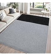 FALARK Rugs for Bedroom Living Room, 4x6 ft Light Grey Dark Grey Area Rug, Washable Memory Foam N...