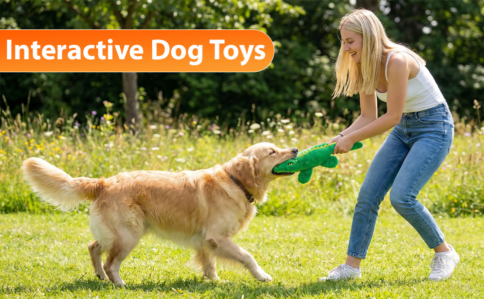 interactive squeaky dog toys