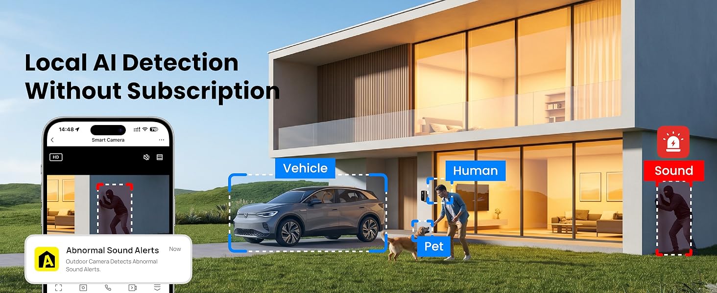 Local AI Detection