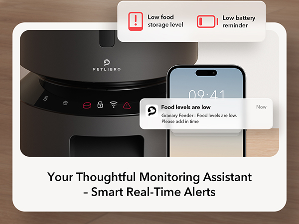 automatic cat feeder